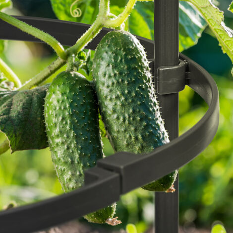 Relaxdays Tuteur Plantes Grimpantes, En Métal, L., Tuteur Plante Grimpante - Pat