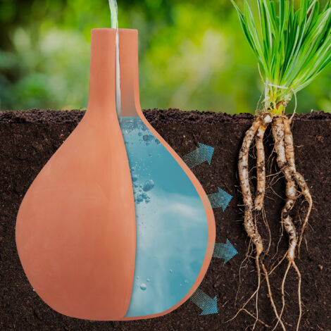 Planten water geven met de olla: bespaar tot 70 procent water
