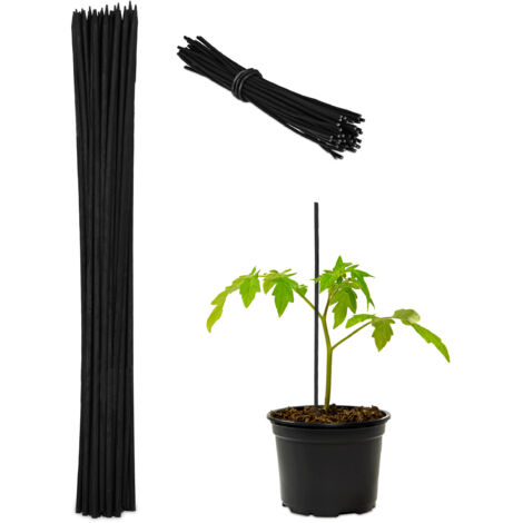 Tuteur à tomates avec fil de fer, lot de 100, pour jeunes plantes, en bambou, H x D : env. 30 x 0,5 cm, noir (1/5)