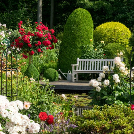 Obélisque ou arche de jardin en bois robuste pour roses grimpantes