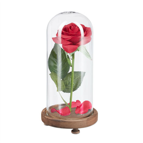 Relaxdays Rose éternelle sous cloche, cadeau pour femmes, socle en bois, la  Belle et la Bête,