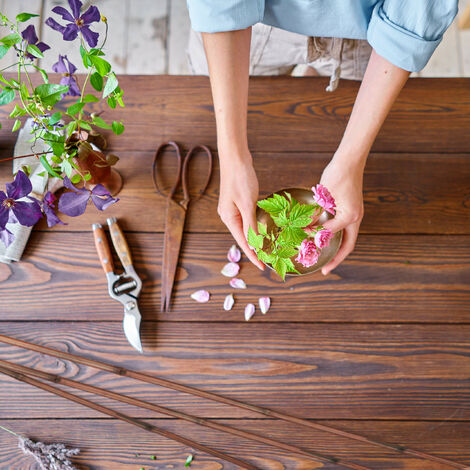 Bellissa - Tiges En Bambou - Divers Lots - Divers Lots - Divers Lots