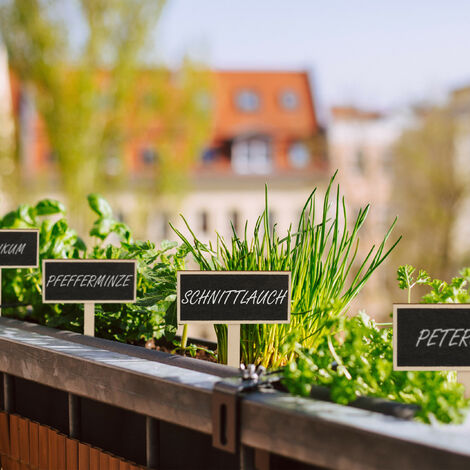 Paravent Séparateur De Jardin 3 Panneaux Motif Végétal Acier Noir Outsunny | Maisons Du Monde