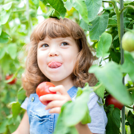 Figurines De Jeu Ogres Impériaux De La Garde Sinistre - Set De 10 Miniatures Stationforge Pour Wargame