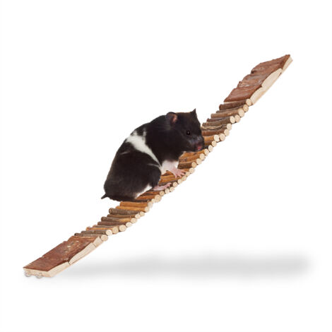 Pont en bois rongeur, lot de 10, souple, œillets pour accrocher, échelle cage, oiseaux, chima, HLP 1,5x55x10cm, nature