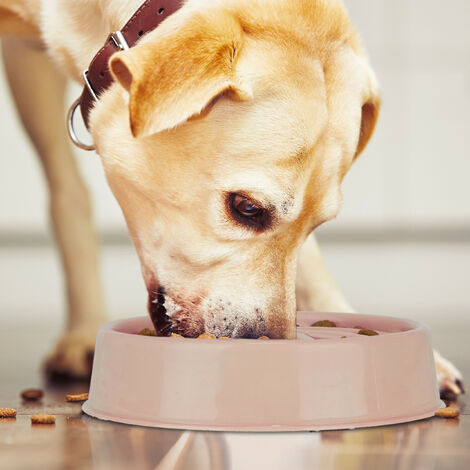 Relaxdays Gamelle anti-étouffement pour chiens, plastique, antidérapant,  grand, écuelle pour repas lents, 900 ml, noir