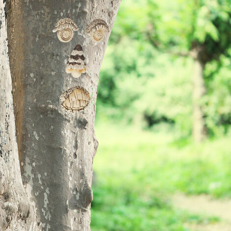 Relaxdays Visage D’Arbre 4 Parties - Déco Jardin Suspendue Résistante Aux Intempéries En Polyrésine