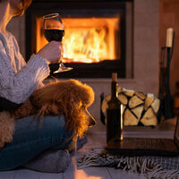 Relaxdays - Set Cheminée 5 Pièces : Panier à Buches + Pelle, Balai, Pince, Tisonnier - Noir
