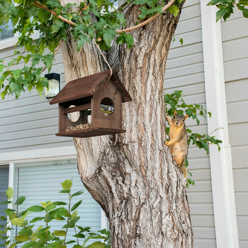 Mangiatoia Per Scoiattoli In Legno: 2 Entrate, Tetto Protettivo - Per Giardino O Balcone, 24x35x13 Cm - Foto 9