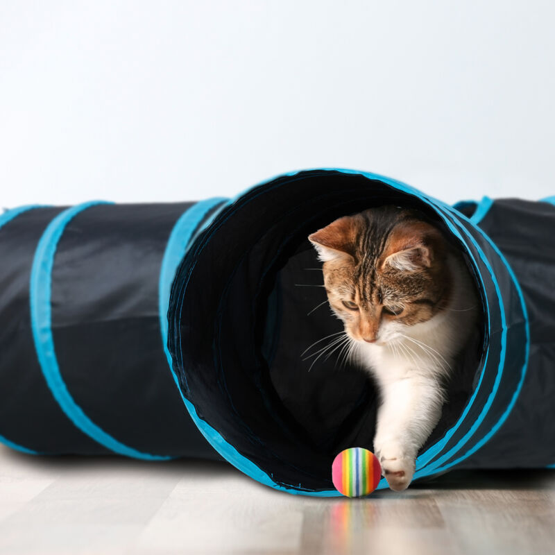 Tunnel Per Gatti Relaxdays | 50x25 Cm, Con Palline E Campanello, Anche Per Conigli E Animali Piccoli - Foto 10