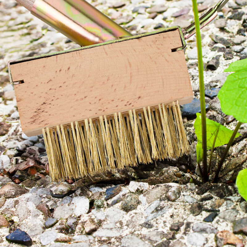 SPAZZOLE METALLO PER SGROPPATRICE GRIZZLY - Set Di 2 Ricambi Per Pulizia Fughe - Foto 2