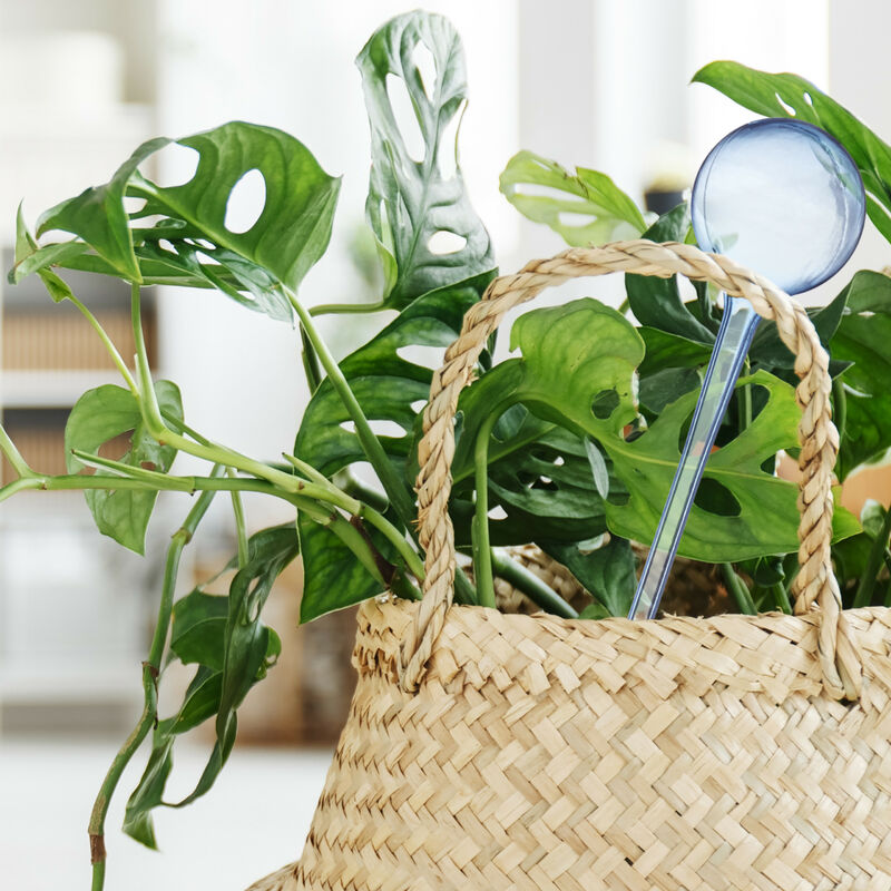 Coni Argilla Terracotta Set Irrigazione A Goccia Per Piante - 4 Coni In Terracotta Per Vacanze Annaffiatori Per Vacanze - Foto 6