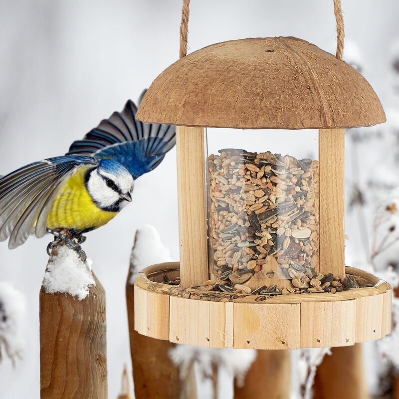 Mangiatoia uccelli decorativa muschio legno esterno giardino appendere  corteccia
