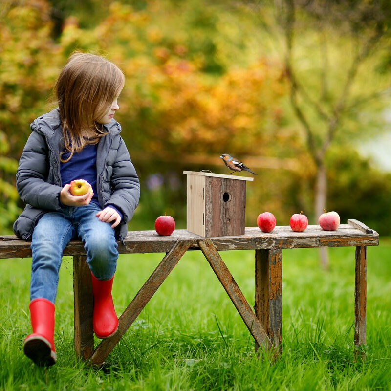 Casetta Per Uccelli In Legno Relaxdays - Decorazione Da Giardino, Balcone O Terrazza, 16,5x12x9,5 Cm - Foto 6