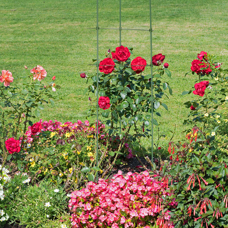 Arco Per Rose Rampicanti Relaxdays - 240x140x38 Cm, Verde Scuro, Design Romantico - Foto 12
