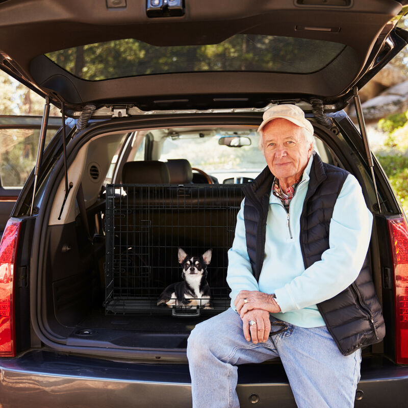 Relaxdays Gabbia per Cani, Kennel da Casa o Auto, Box Pieghevole, Base e  Rete in Acciaio, 2 Porte, HLP 59x77x54 cm, Nero