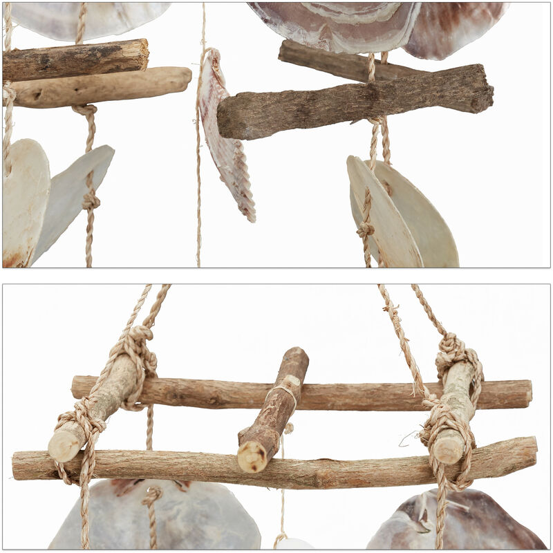 Conchiglia Fascolaria Trapezium 14-15cm - Fossile Da Collezione Kaltner - Foto 5