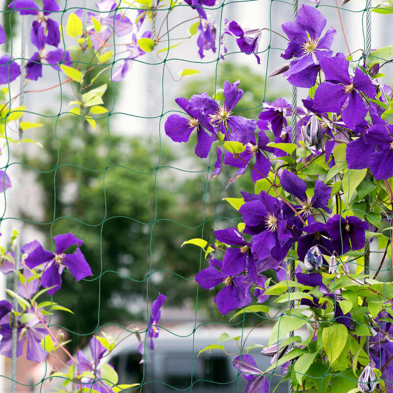 50 Bastoncini Di Bamb&ugrave; Naturali 30cm X 6mm - Per Fai Da Te, Decorazioni, Artigianato, Modellismo