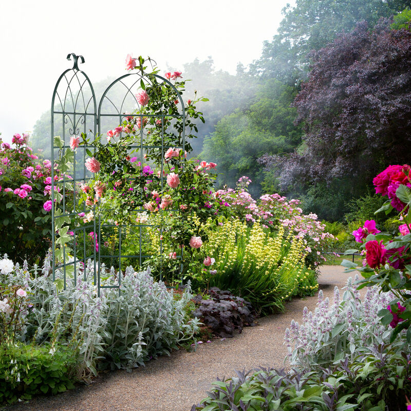 Arco Traliccio per Piante e Rose Fiori Rampicanti da Giardino in Ferro H  240