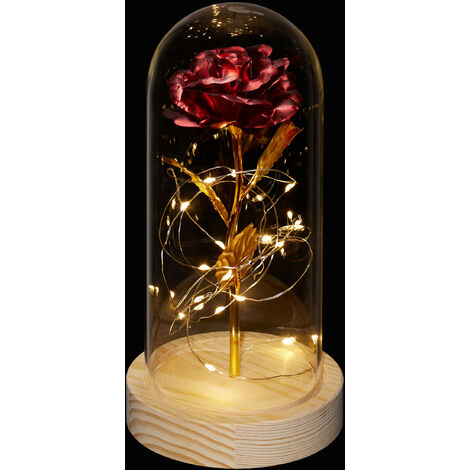 Relaxdays Rosa Eterna, Campana di Vetro con Catena di Luci LED, Cupola con Fiore Perenne, Regalo