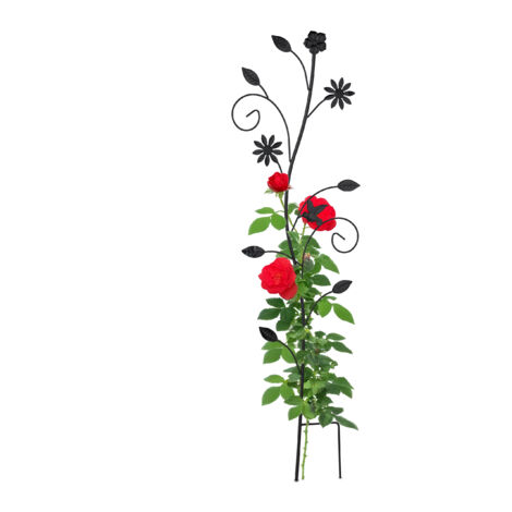 Supporto Per Piante Rampicanti Relaxdays, Set 8 Sostegni Con Anello, 80 Cm, Acciaio Verniciato Verde Scuro, Per Rose E Fiori - 3