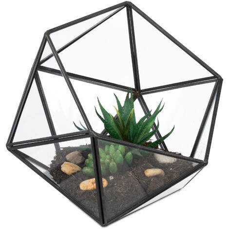 Relaxdays Terrario Piante, Mini Serra Vetro e Zinco, HLP 16x17x20 cm, Piantine Grasse e Muschi, Vaso Ecosistema, Nero
