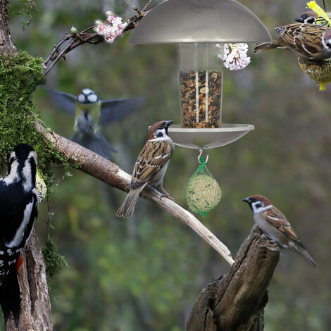 2x Mangiatoie per Uccelli Selvatici, da Appendere, Dispenser per Mangime,  Coperchio, Ferro, 31 cm, Verde Scuro