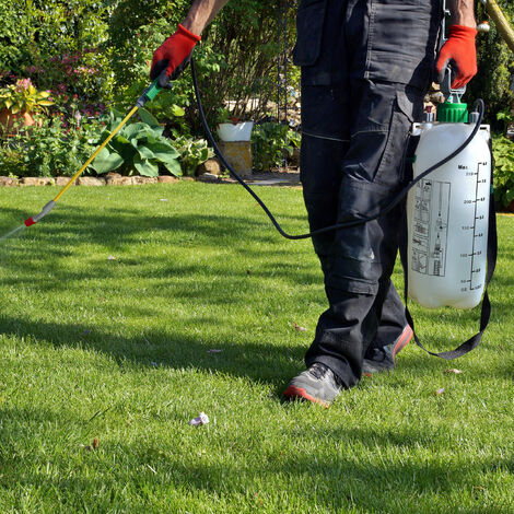 Pompa Per Diserbante 5L GREEN HAVEN - Per Diserbanti E Pesticidi Spruzzatore A Pressione - Foto 9
