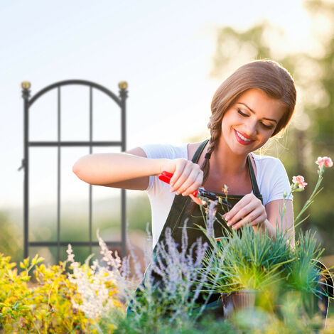 Relaxdays Set 2 Tralicci Per Piante Rampicanti - Nero, Acciaio E Plastica, 122x59cm - Foto 12