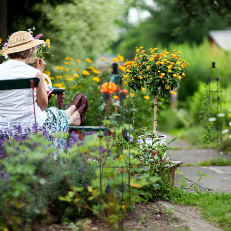 WD_Black D30 1TB Game Drive SSD Per Xbox Summer Collection, SSD Per - Foto 10