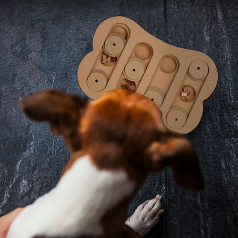 Gioco interattivo per cani: 8 migliori giochi intelligenti