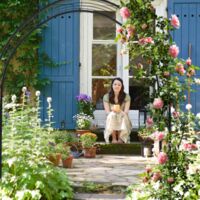 Picchetti Per Archi Da Giardino - 4 Pezzi, Acciaio Verniciato, 30cm - Per Rose E Rampicanti - Foto 13