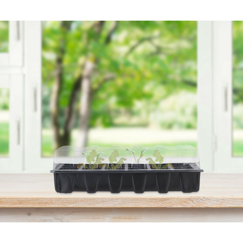 ▷🥇 distribuidor semillero germinación invernadero 24 compartimentos con  bandeja anti goteo sets de 3 piezas