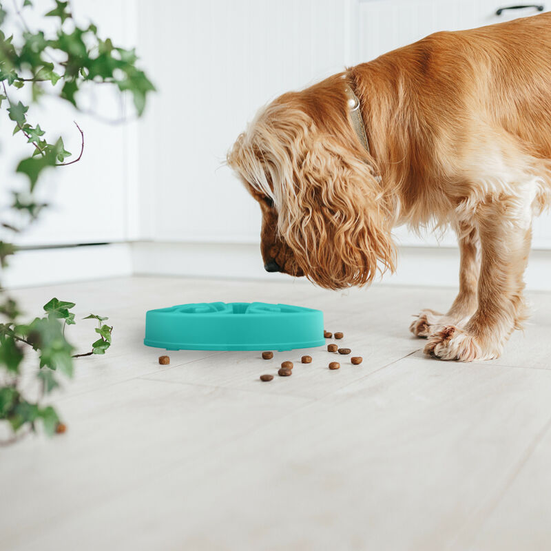 Outward Hound Fun Feeder Slow Feed Dog Bowl Teal - PetO