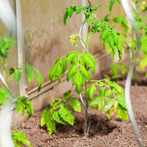 Tutores de plantas. Palitos de madera