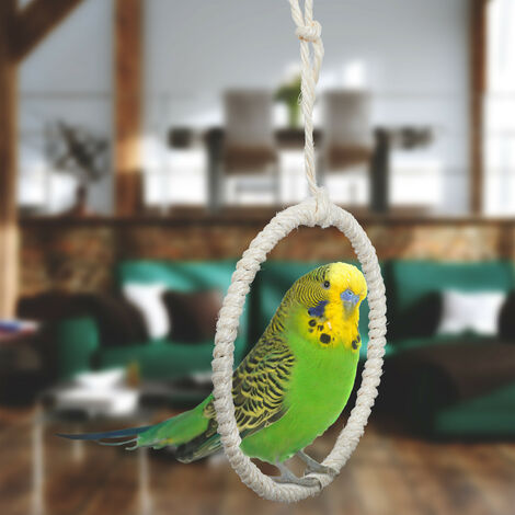 Soluciones de escaleras y posaderos para jaulas de pájaros de calidad para entornos cómodos para mascotas Soluciones de escaleras y posaderos para jaulas de pájaros de calidad para entornos cómodos para mascotas