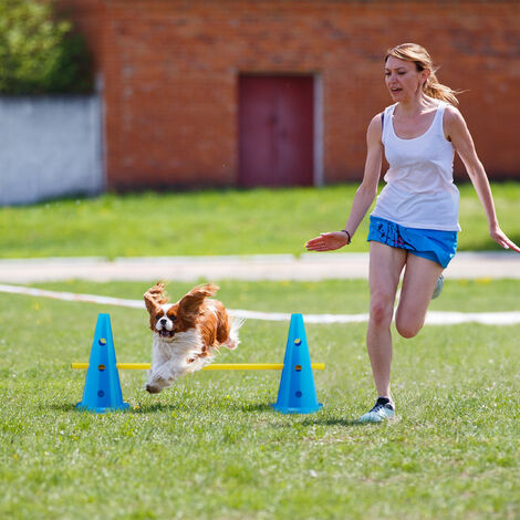 Valla Entrenamiento 12