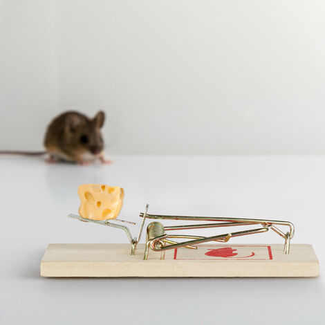 Como Hacer una Trampa para Ratones