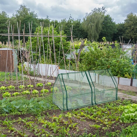 Invernadero De Plástico Verde Transparente Para Jardín, Cubierta