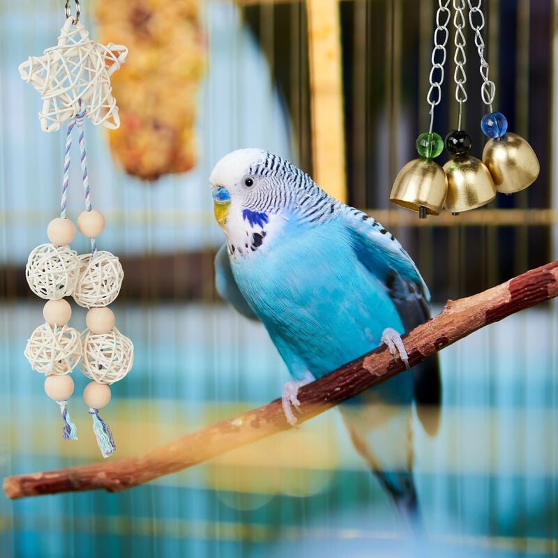 Petsmart bird outlet playground