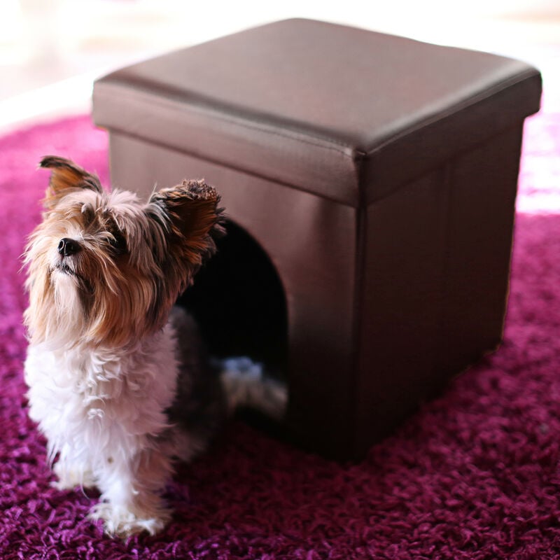 Ottoman hotsell dog house