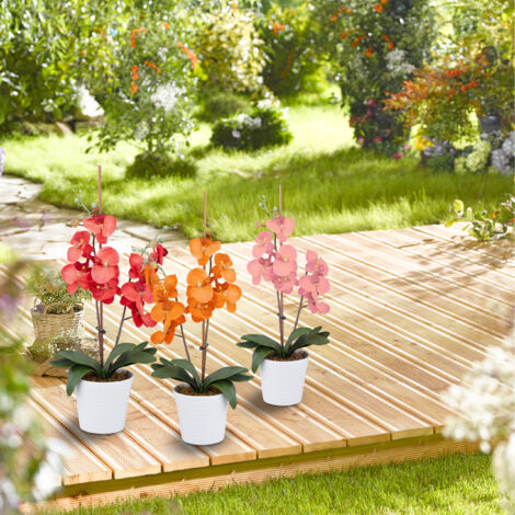 Relaxdays Plant Support Rings, Set of 300, for Climbing, Securing ...