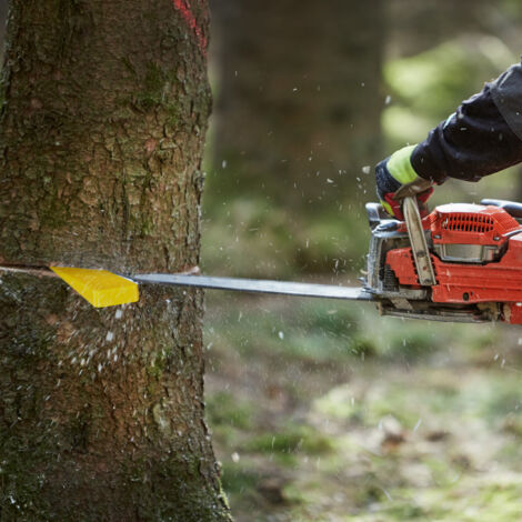 Felling Direction Relaxdays Felling Wedge, Set of 4, 14 & 21 cm, Plastic, Barbed ...