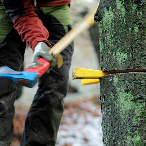 Tree Wedger Relaxdays Felling Wedge, Set of 4, 14 & 21 cm, Plastic, Barbed ...