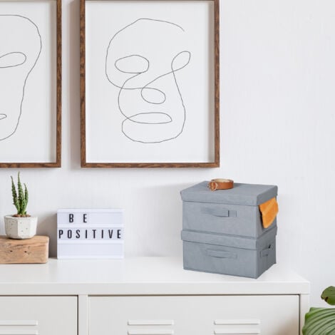 Relaxdays Storage Box Set of 2, Foldable Shelf Bins, HWD: 17 x 23 x 33 cm, with Lid, Non-Woven Fabric Containers, Grey
