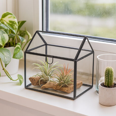 EFUTURETIME Mini terrariumplanten, 24,2 x 14,7 x 29 cm, met uittrekbaar dienblad, terrariumglas in huisvorm voor vetplanten, cactussen en doe-het-zelfprojecten (zonder planten