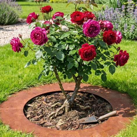 Relaxdays Tree Ring, Rust Patina, Lawn Edging for Trees & Shrubs, Ø 80 ...