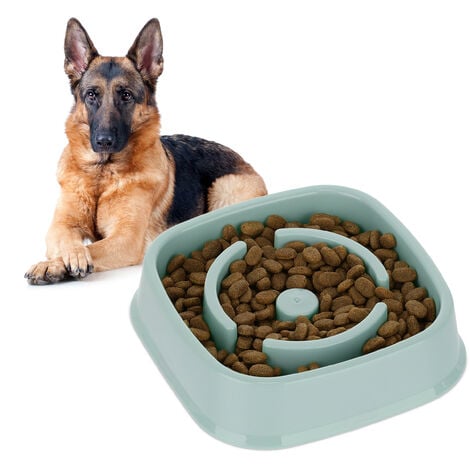 Spiral bowl for sales dogs