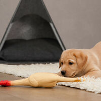 Relaxdays Dog Tent, Large Teepee Retreat for Cats, Felt & Wood, Cushion, 70.5x59.5x59cm, Dark Grey