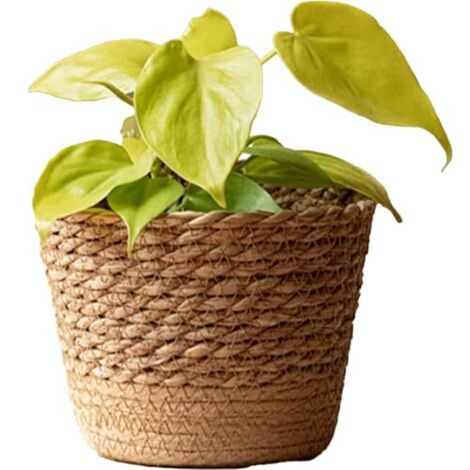 Panier végétal, Pot de Plante d'herbe Marine Naturelle avec Doublure étanche, 5, 9X 4, 3 Pouces Petits Pots décoratifs pour la Maison intérieure, Pot de rotin (1/5)